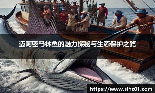 迈阿密马林鱼的魅力探秘与生态保护之路